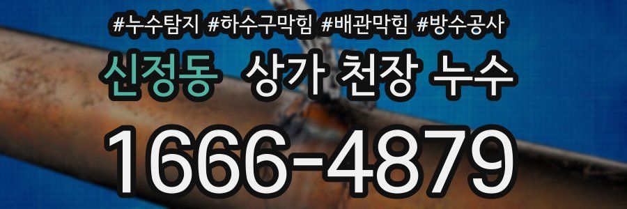 신정동 상가 천장 누수