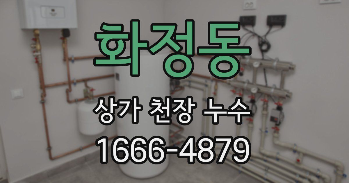 화정동 상가 천장 누수