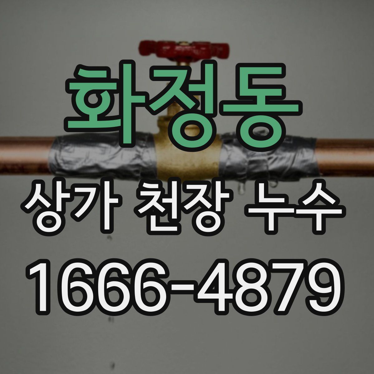 화정동 상가 천장 누수