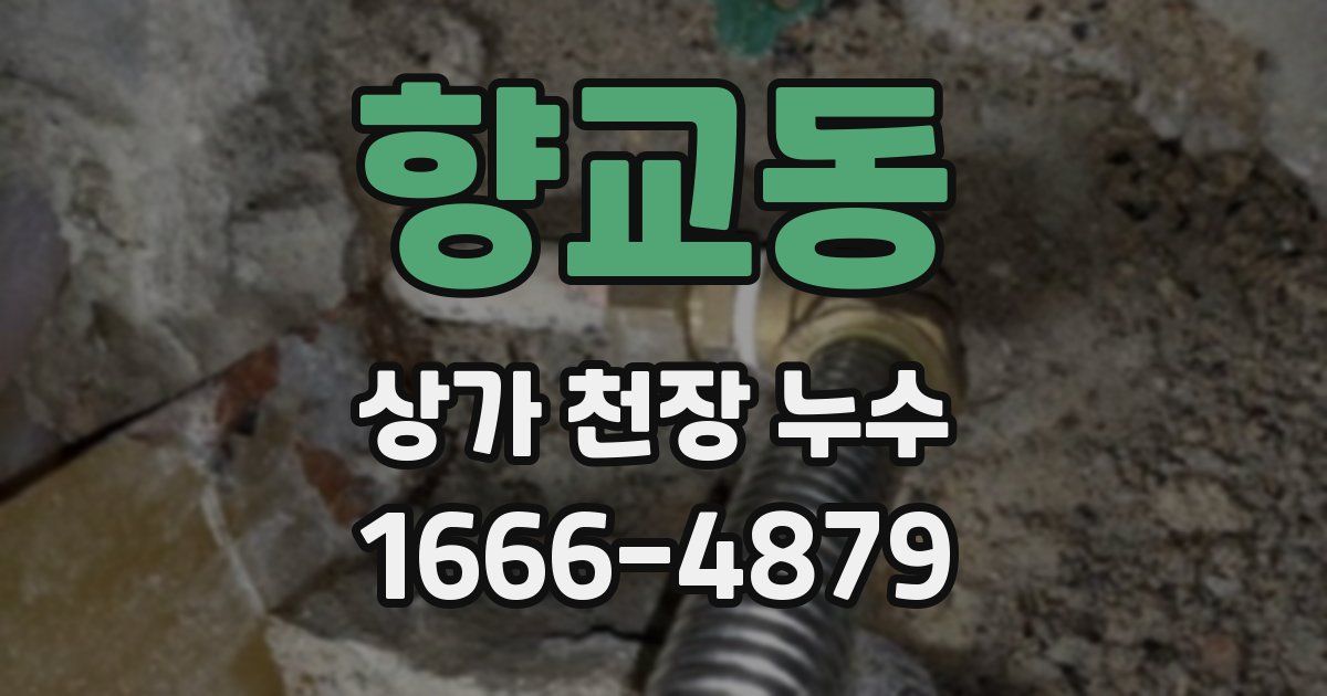 향교동 상가 천장 누수