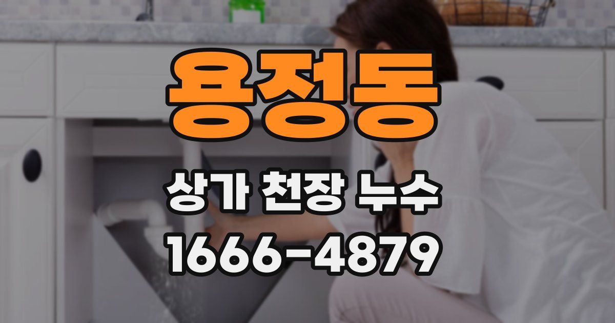 용정동 상가 천장 누수
