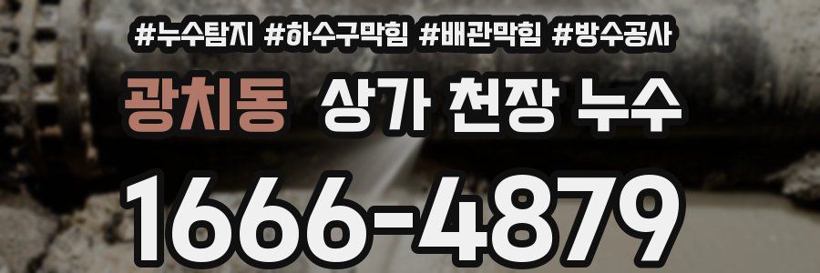 광치동 상가 천장 누수