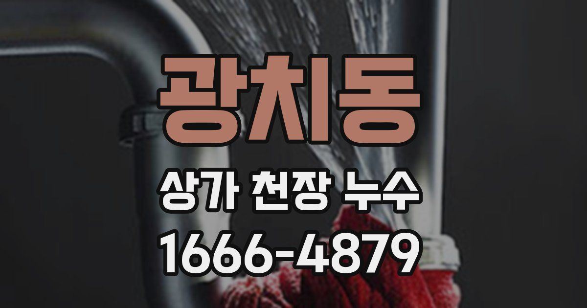 광치동 상가 천장 누수
