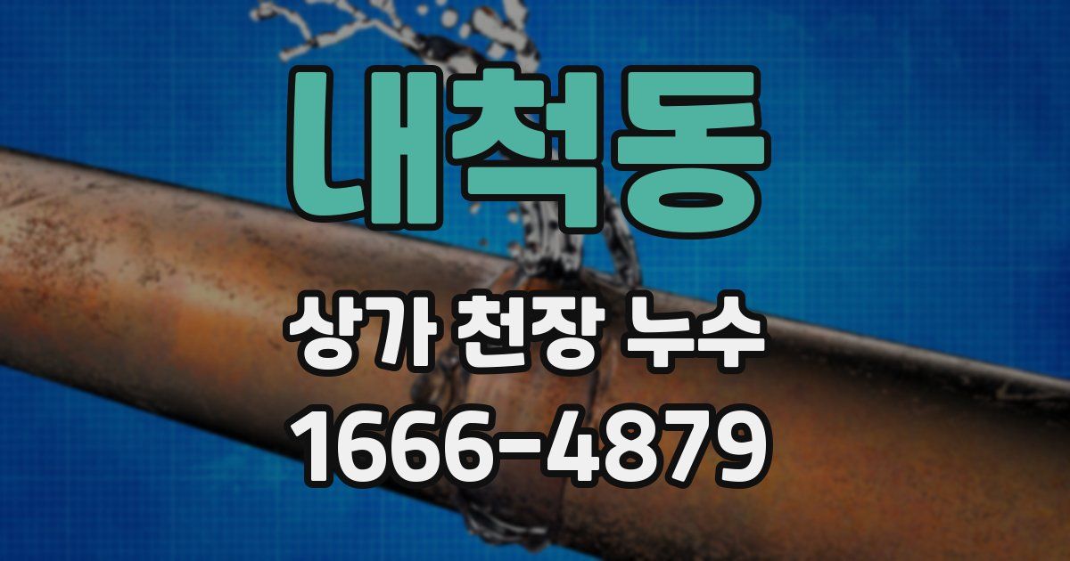 내척동 상가 천장 누수