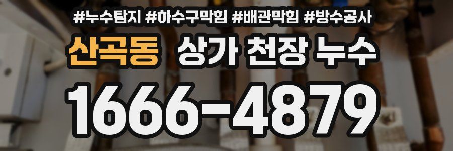 산곡동 상가 천장 누수