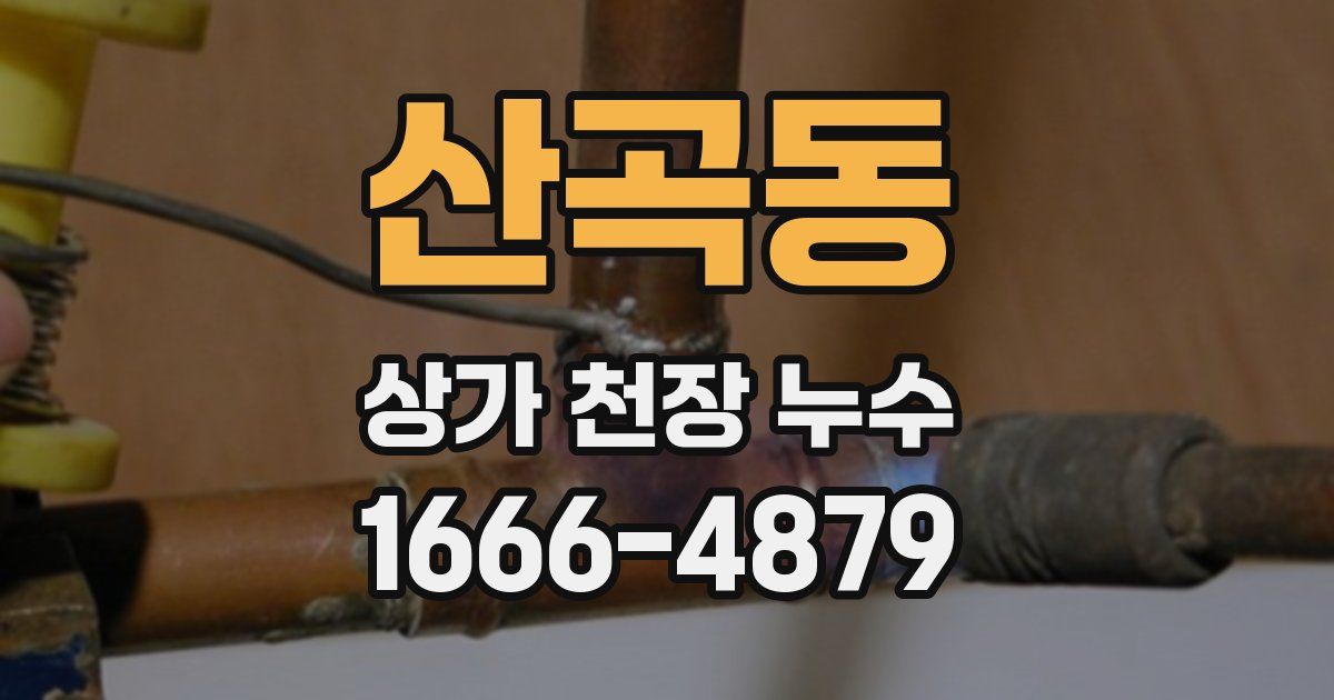 산곡동 상가 천장 누수