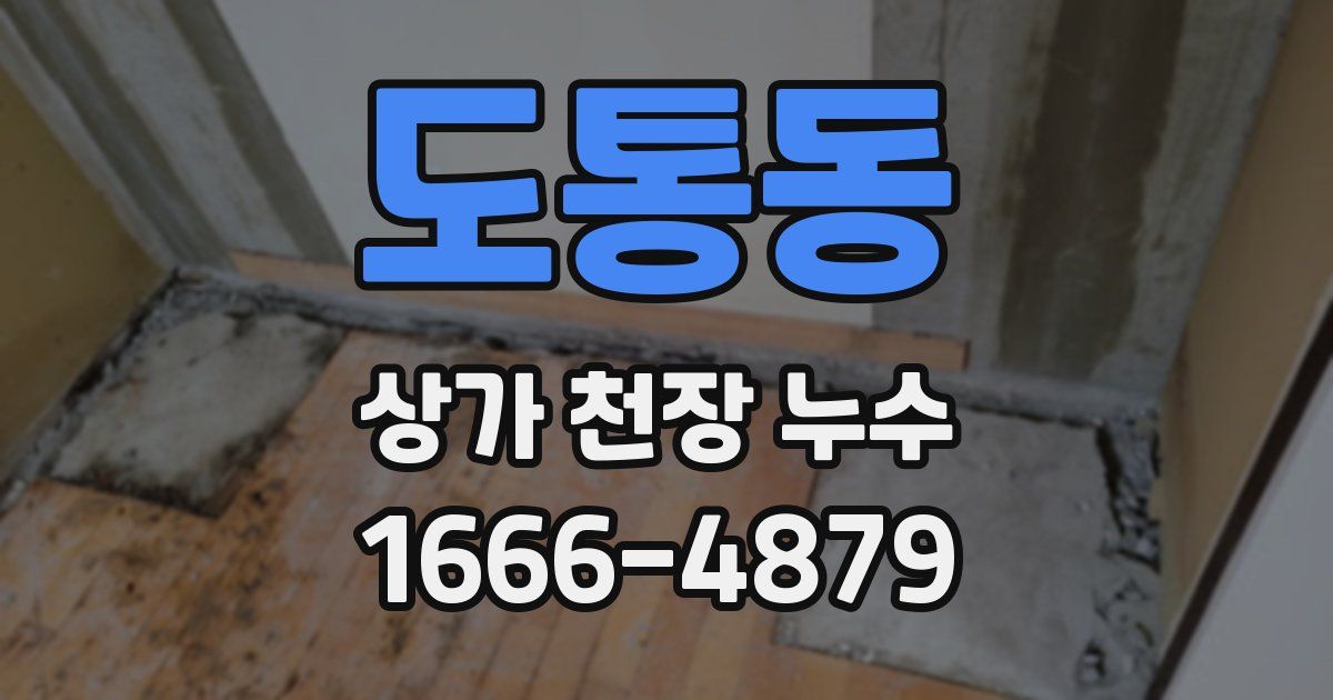 도통동 상가 천장 누수