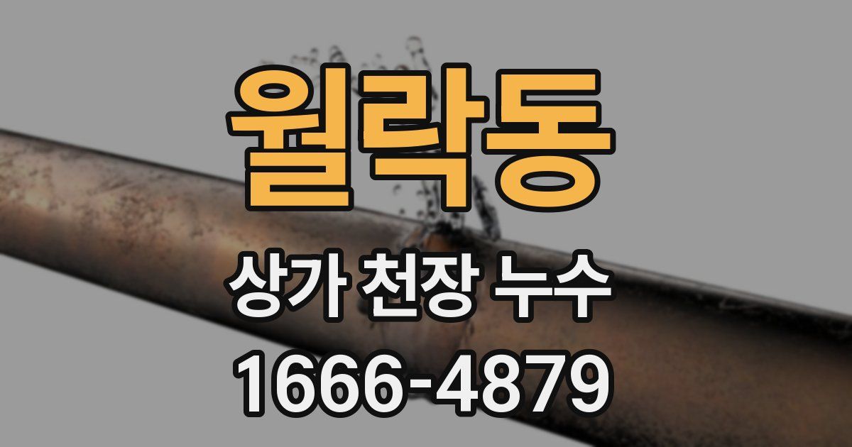 월락동 상가 천장 누수