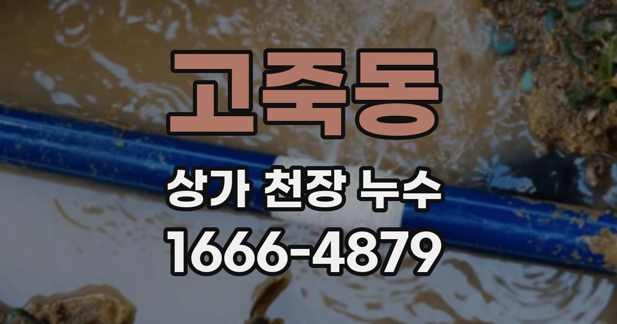고죽동 상가 천장 누수