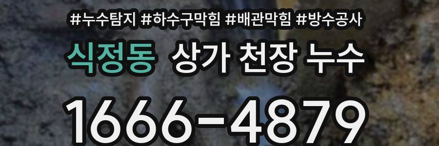 식정동 상가 천장 누수