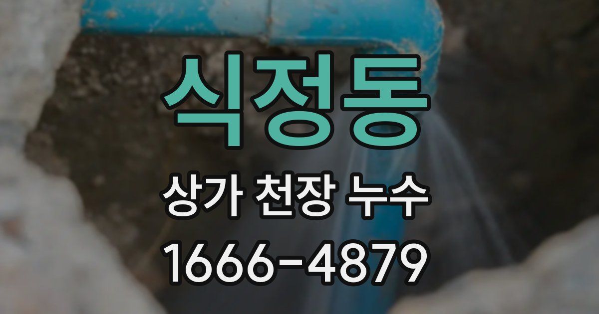 식정동 상가 천장 누수