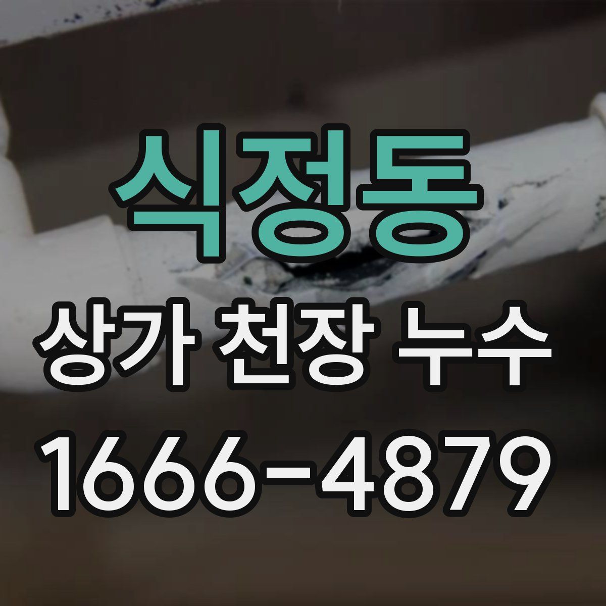 식정동 상가 천장 누수