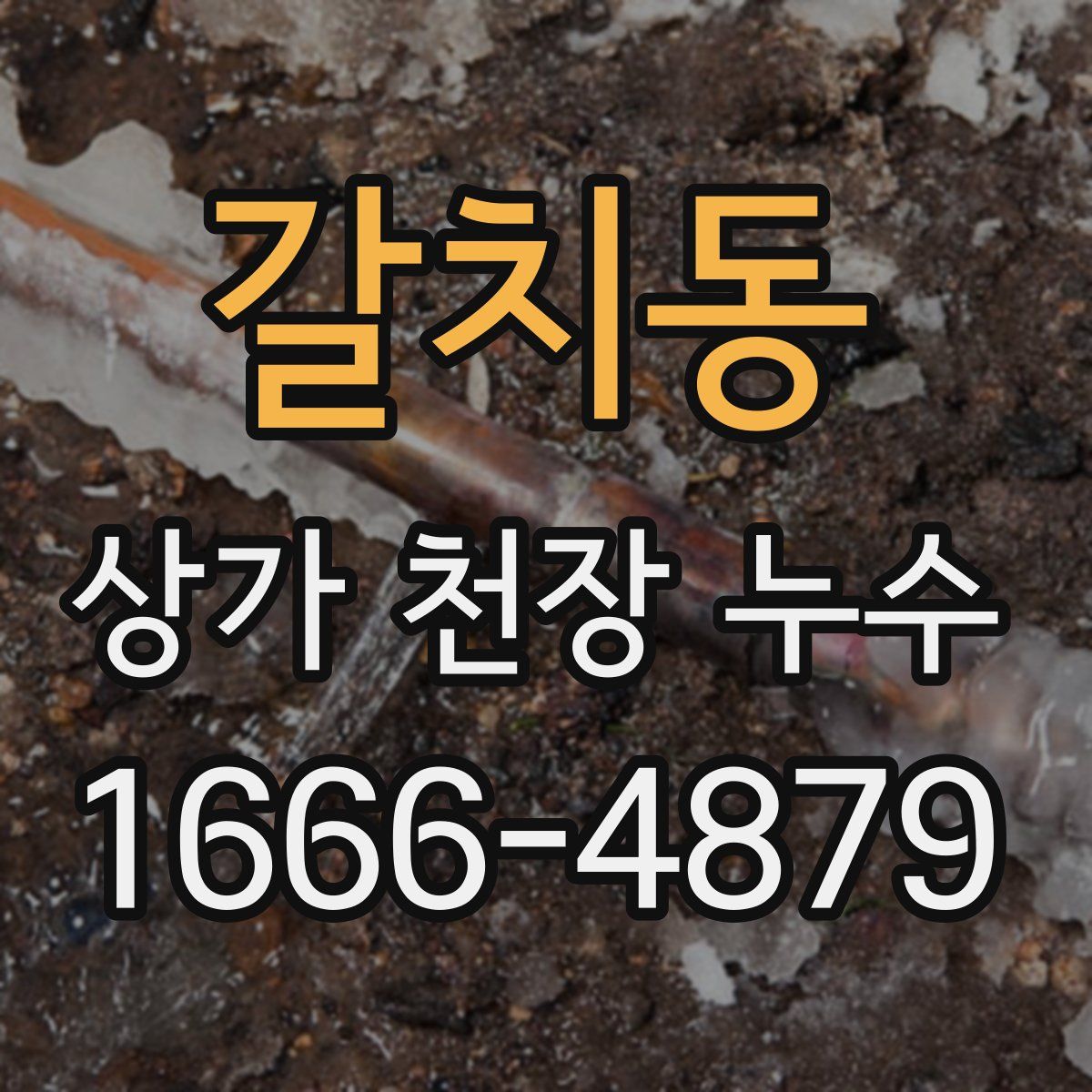 갈치동 상가 천장 누수