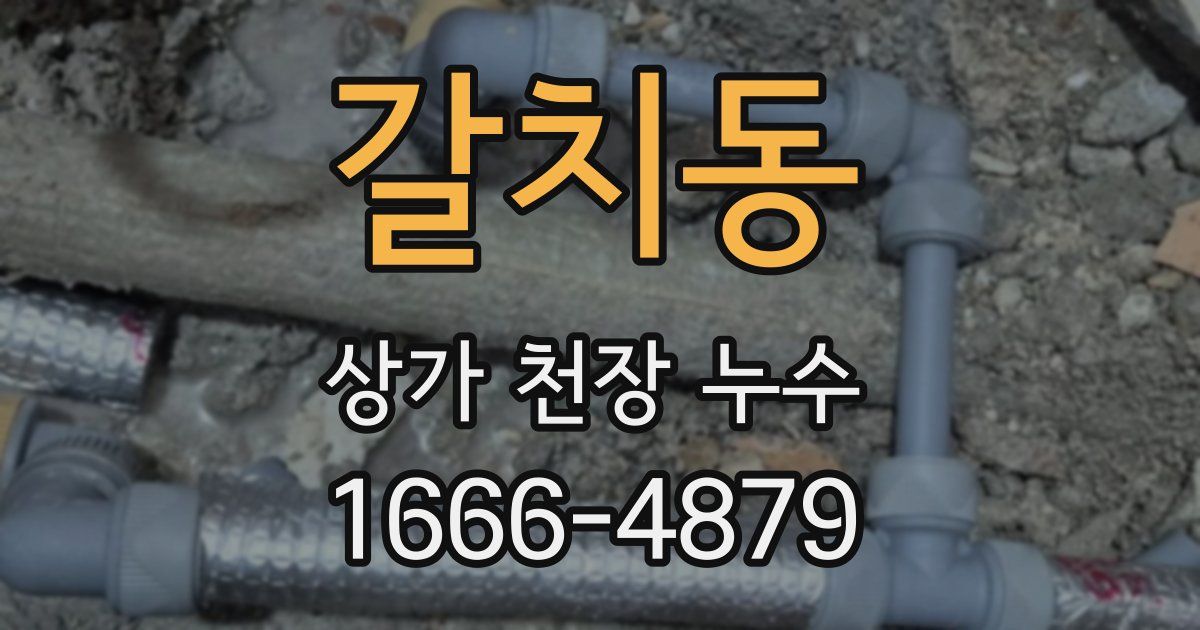 갈치동 상가 천장 누수