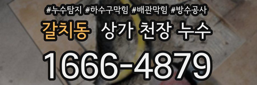 갈치동 상가 천장 누수