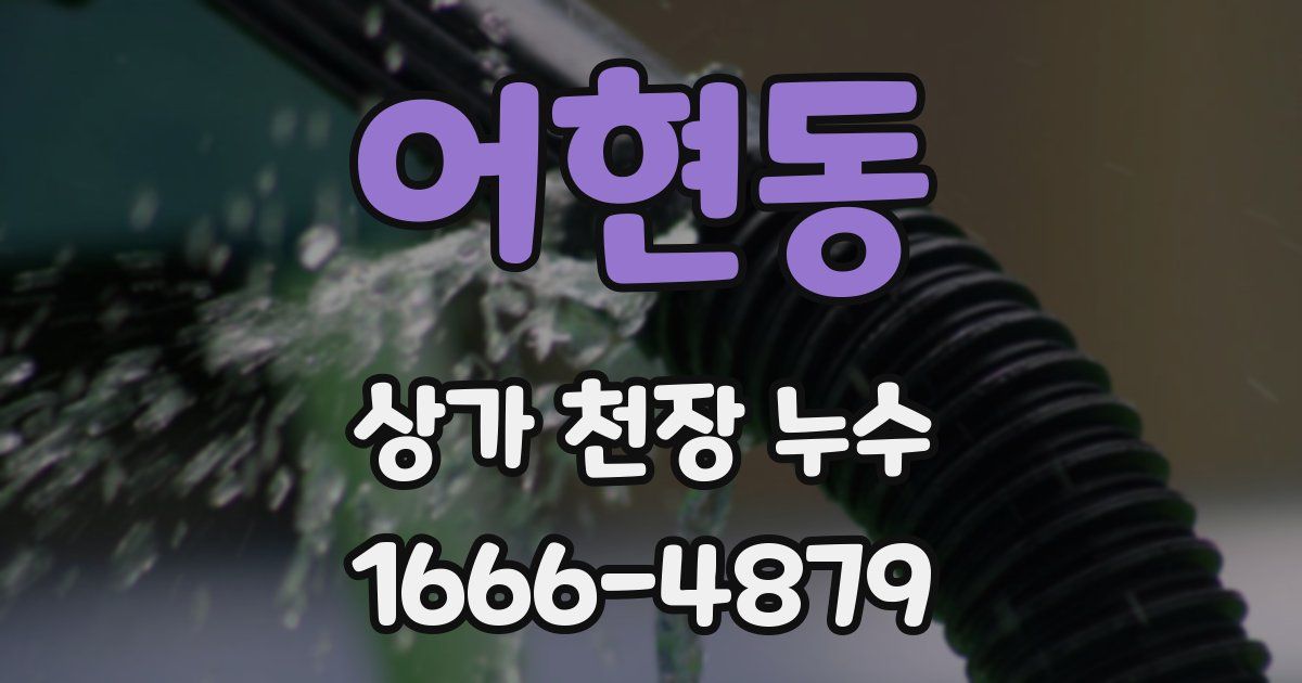 어현동 상가 천장 누수