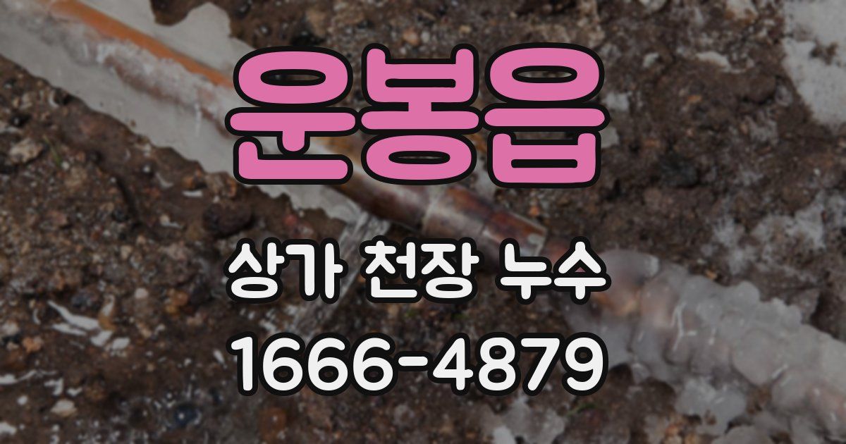 운봉읍 상가 천장 누수