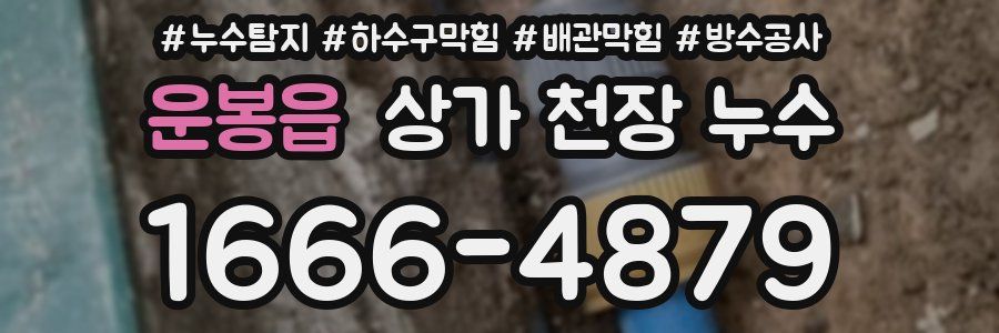 운봉읍 상가 천장 누수