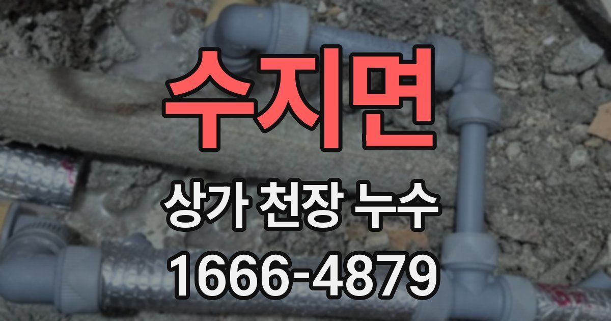 수지면 상가 천장 누수