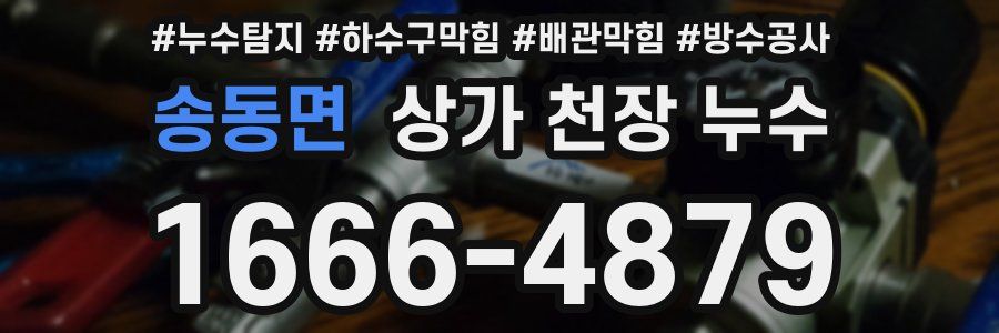 송동면 상가 천장 누수