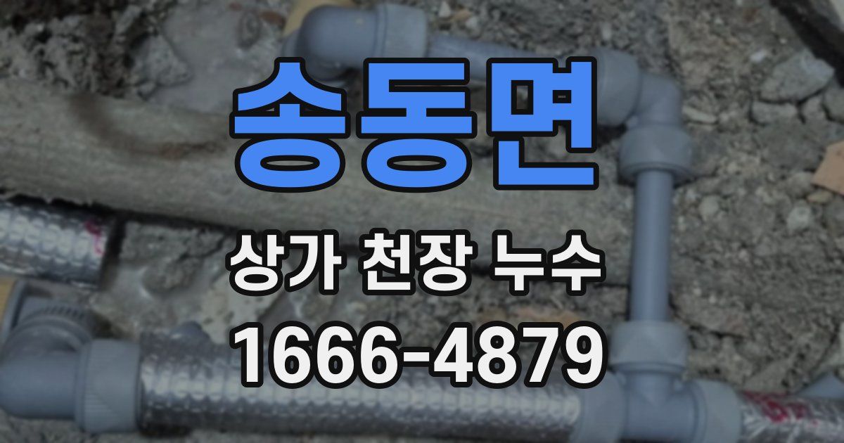 송동면 상가 천장 누수