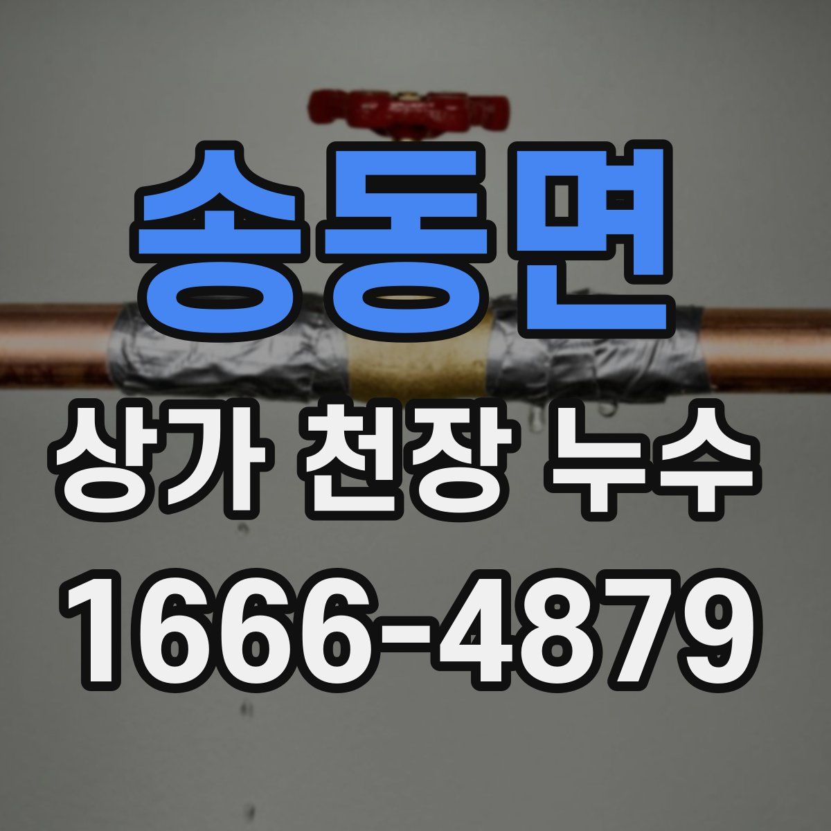 송동면 상가 천장 누수