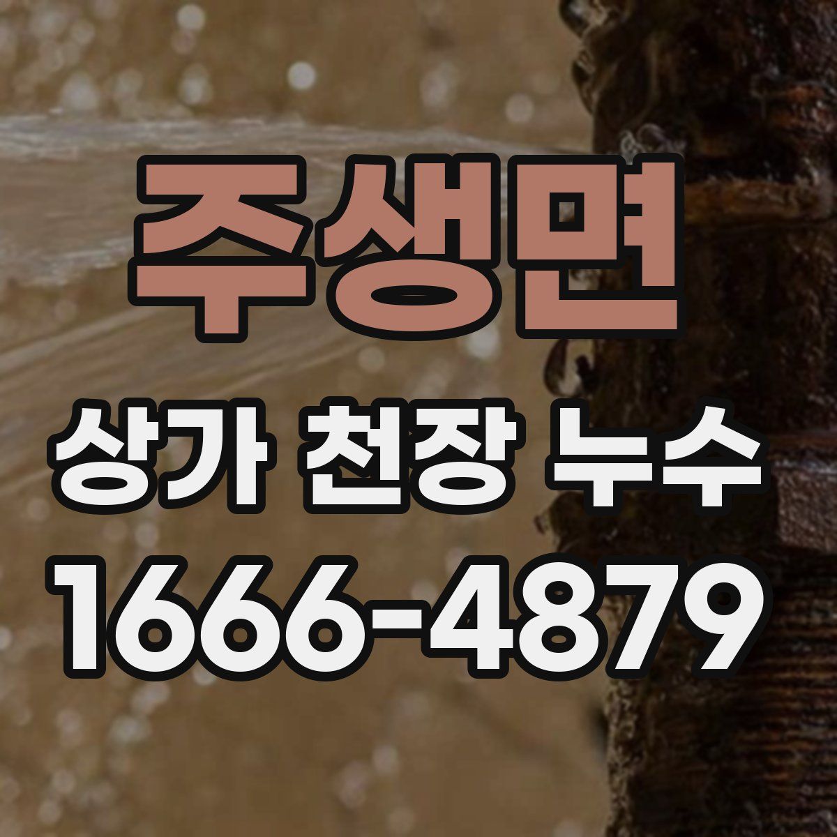 주생면 상가 천장 누수