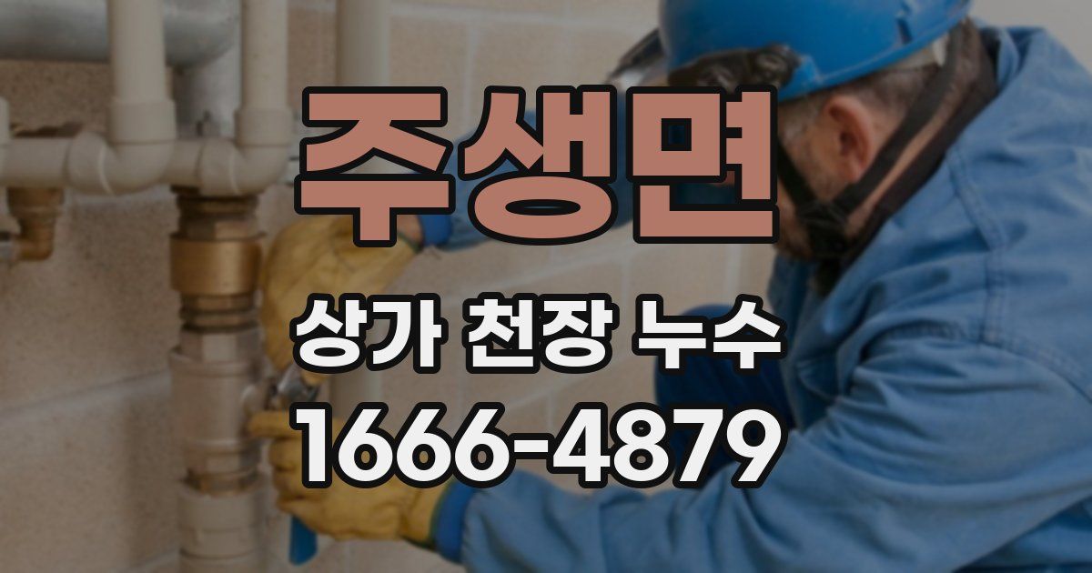 주생면 상가 천장 누수