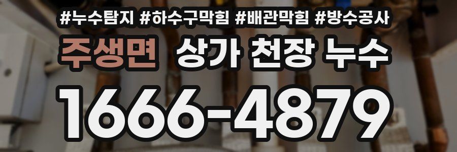 주생면 상가 천장 누수