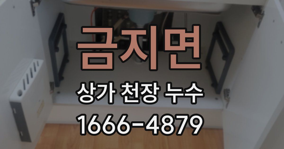 금지면 상가 천장 누수