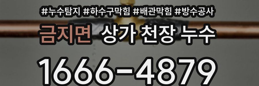 금지면 상가 천장 누수