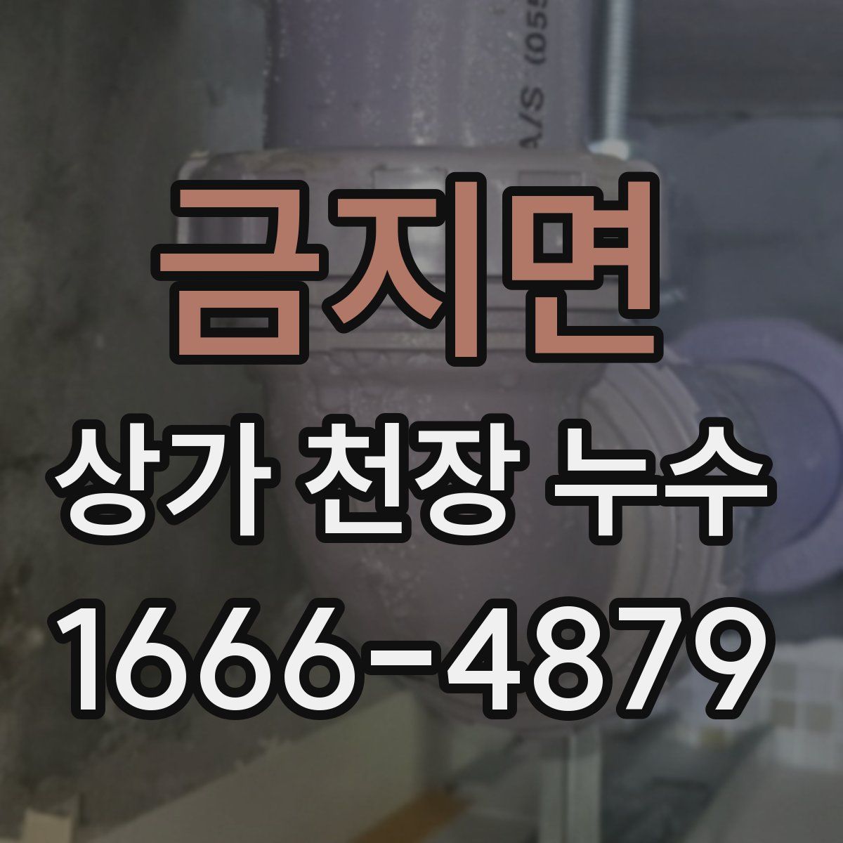 금지면 상가 천장 누수