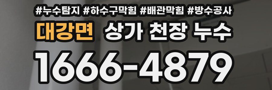 대강면 상가 천장 누수