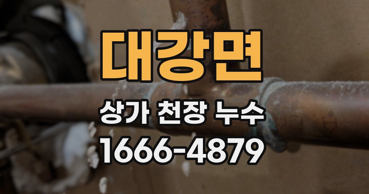 대강면 상가 천장 누수