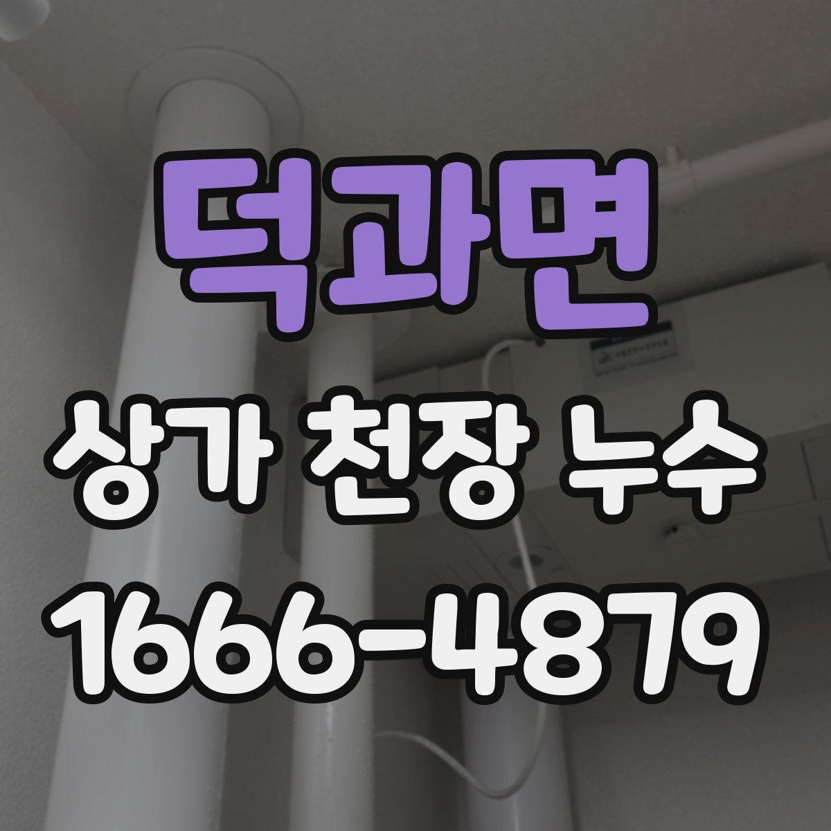 덕과면 상가 천장 누수