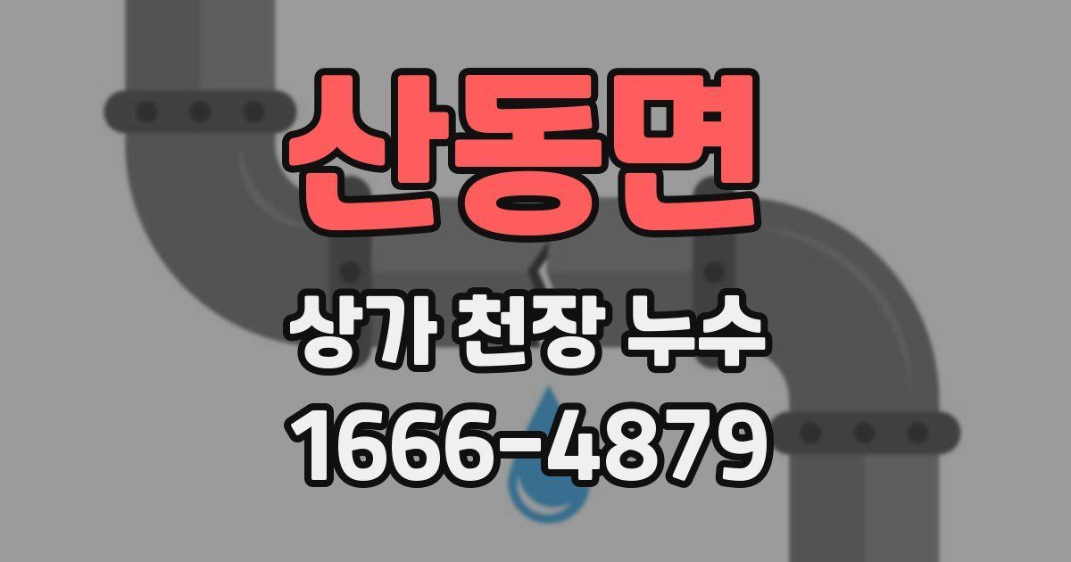 산동면 상가 천장 누수