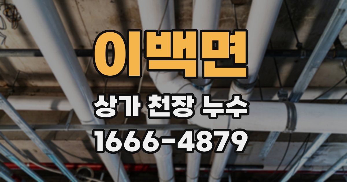 이백면 상가 천장 누수