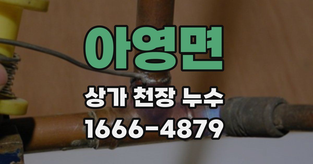 아영면 상가 천장 누수
