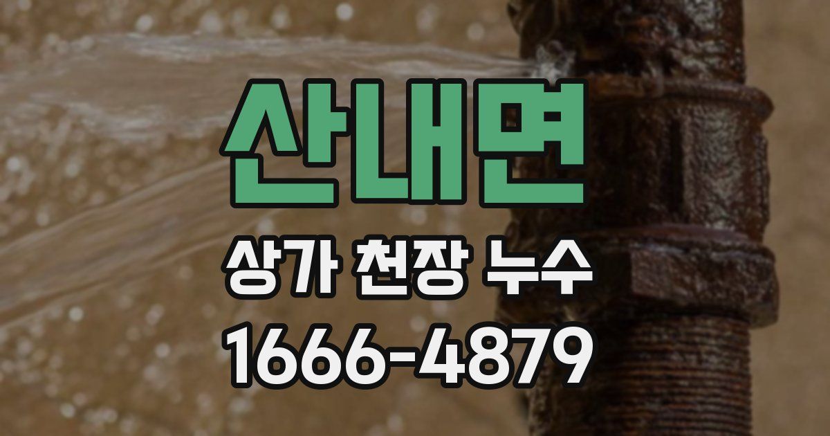산내면 상가 천장 누수