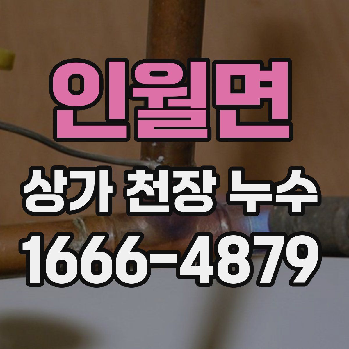인월면 상가 천장 누수