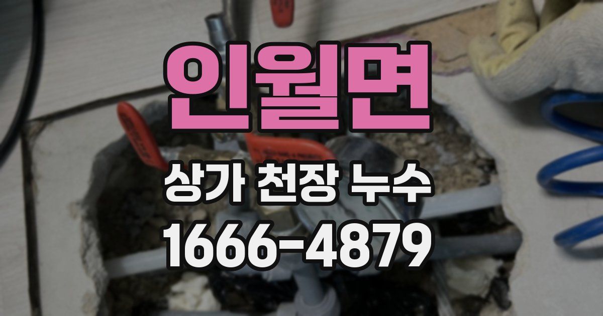 인월면 상가 천장 누수