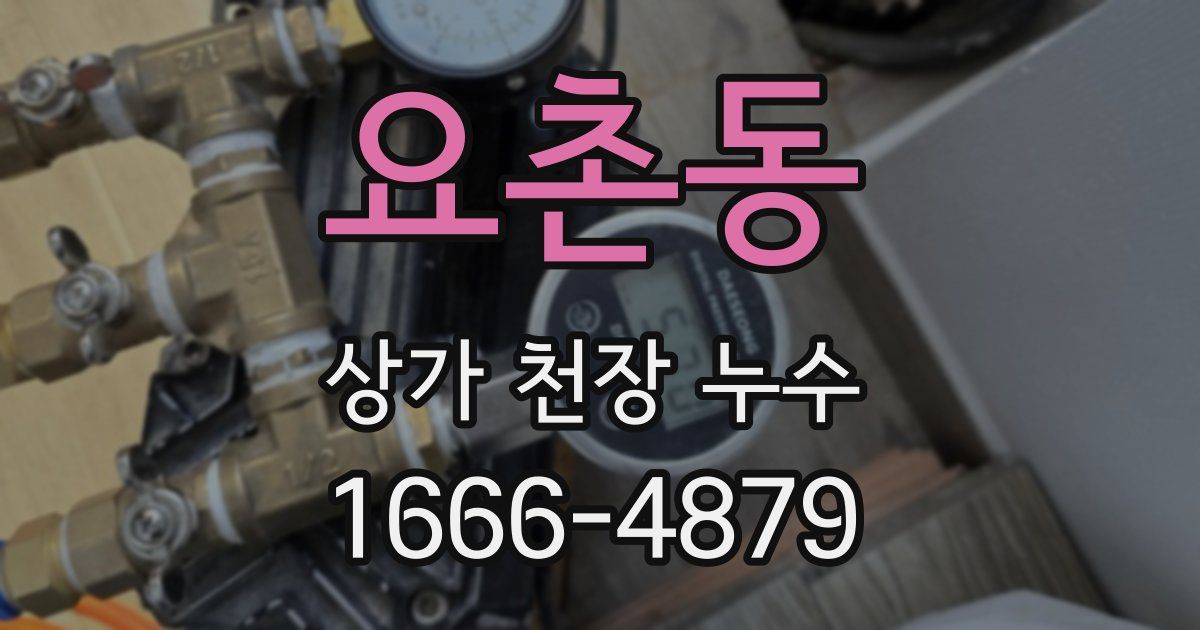 요촌동 상가 천장 누수