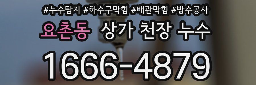 요촌동 상가 천장 누수