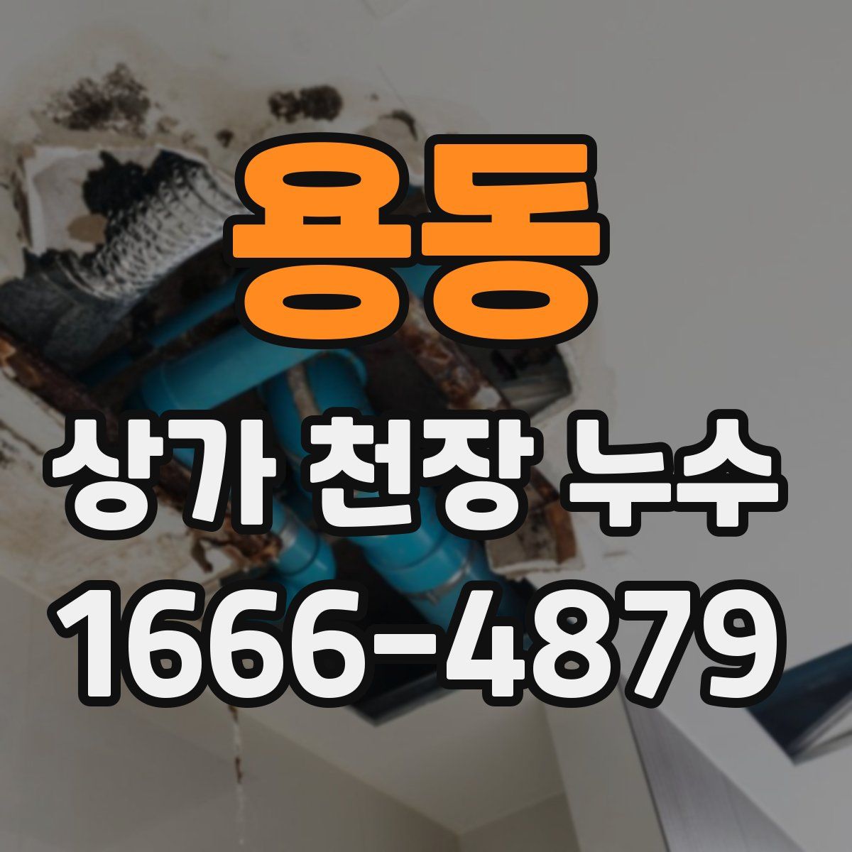 용동 상가 천장 누수