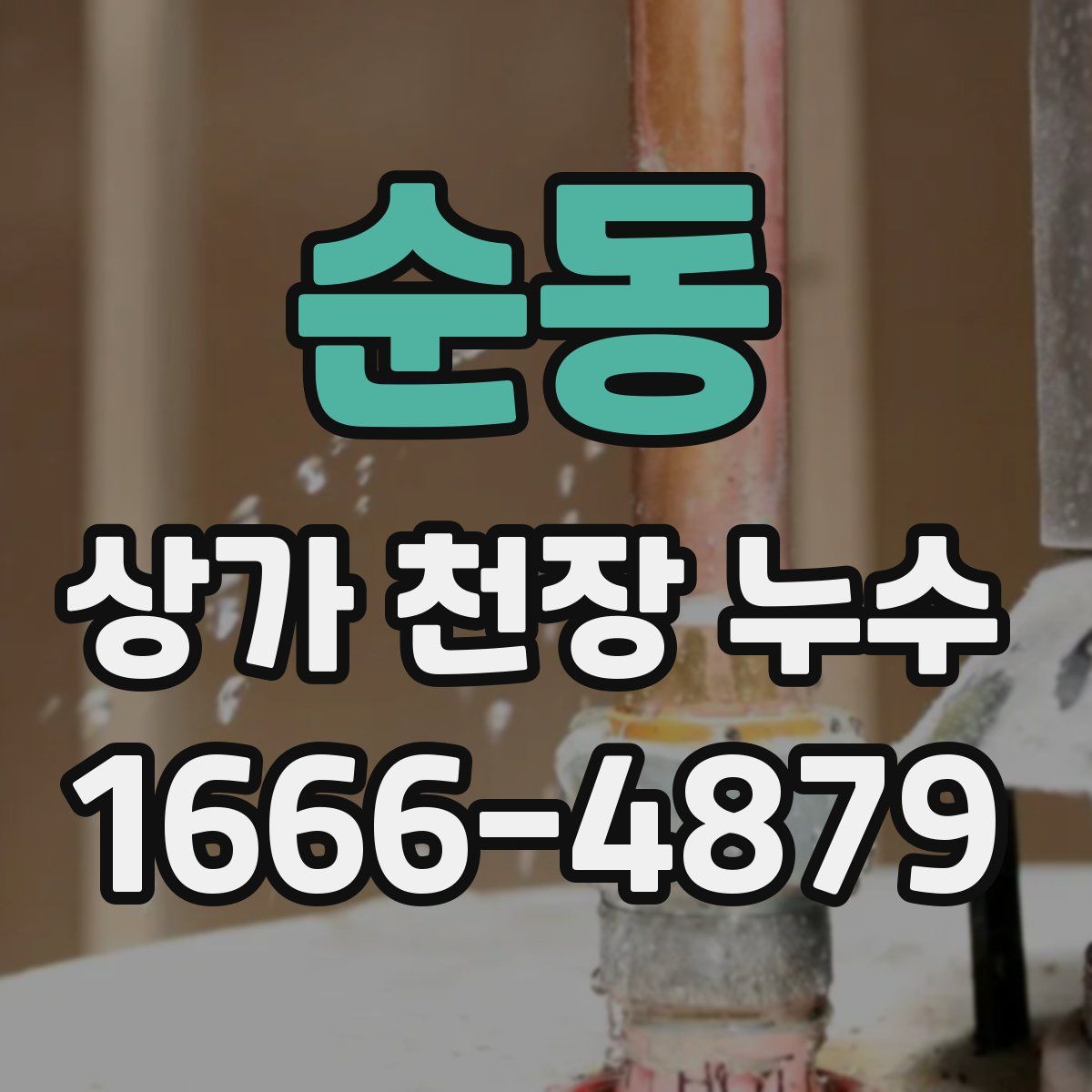 순동 상가 천장 누수