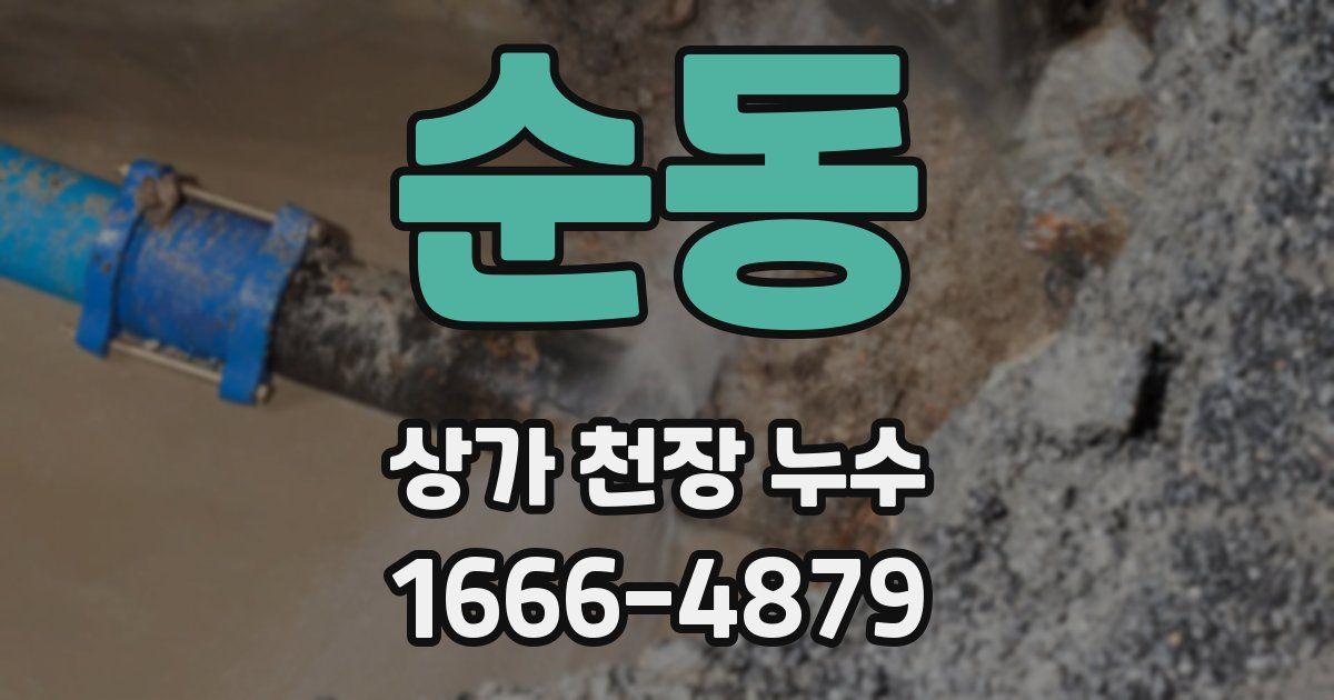 순동 상가 천장 누수