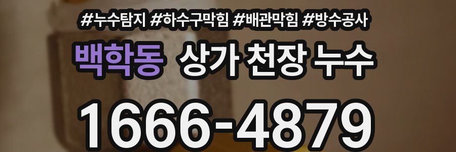 백학동 상가 천장 누수