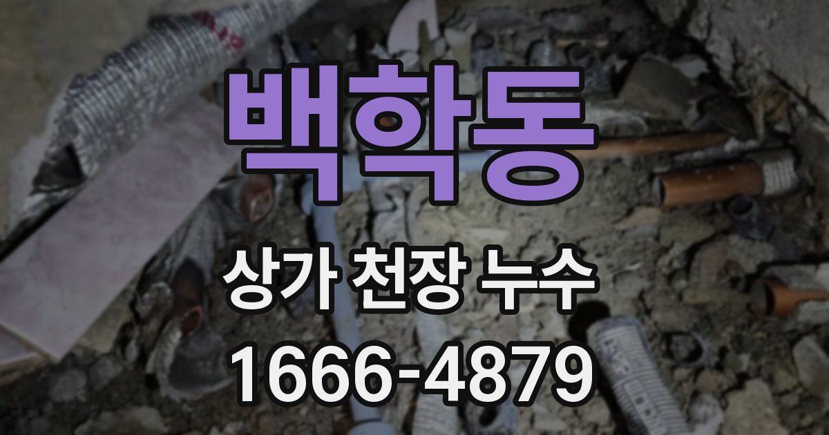 백학동 상가 천장 누수