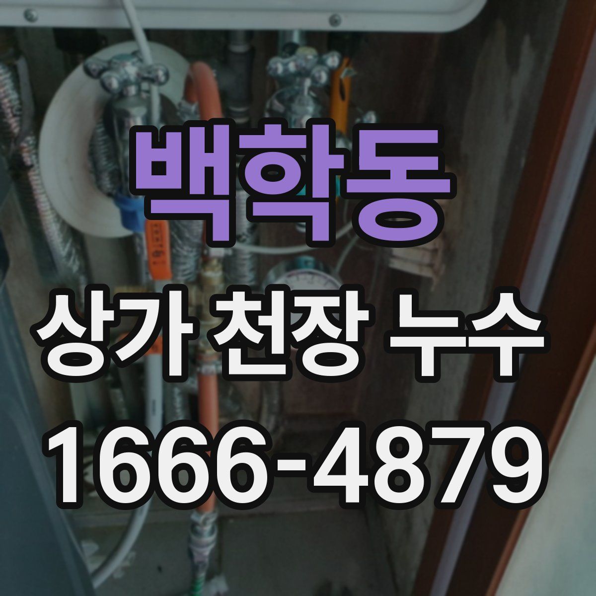 백학동 상가 천장 누수