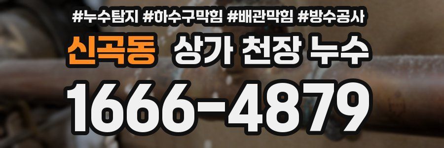 신곡동 상가 천장 누수